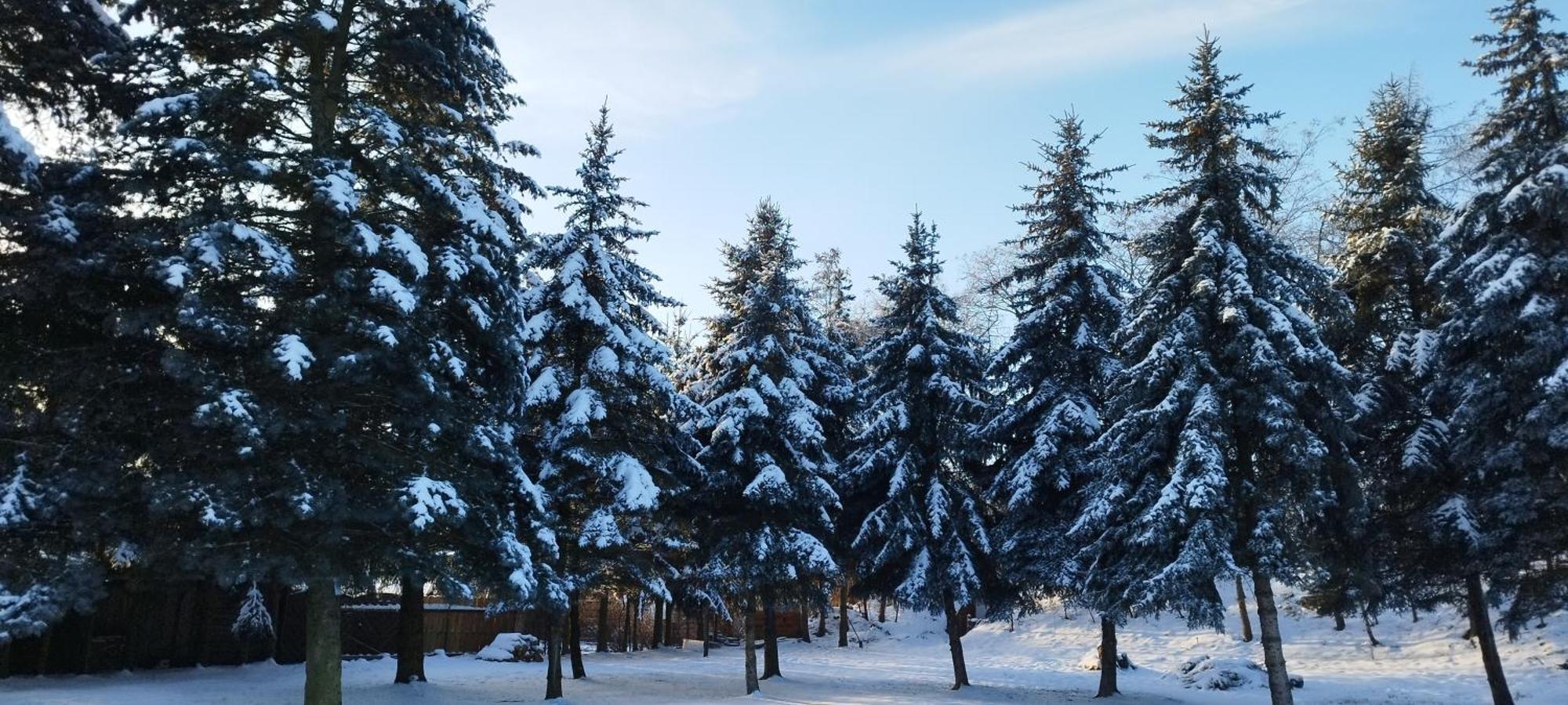 Pokoje Goscinne Impresja Kadzidlo Esterno foto
